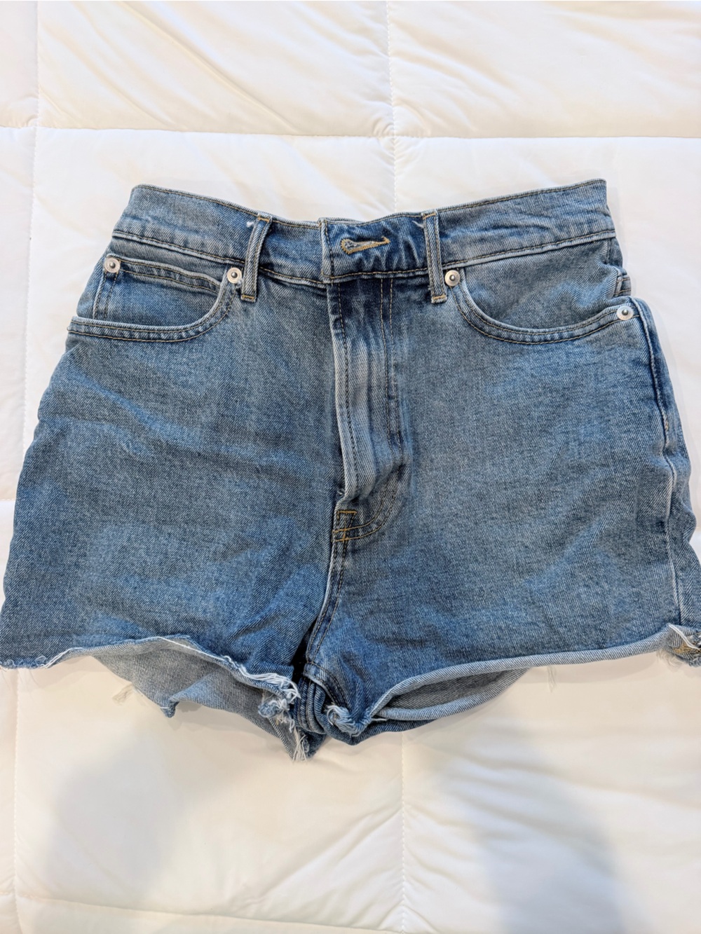 Everlane Light Blue Denim Cutoff Shorts